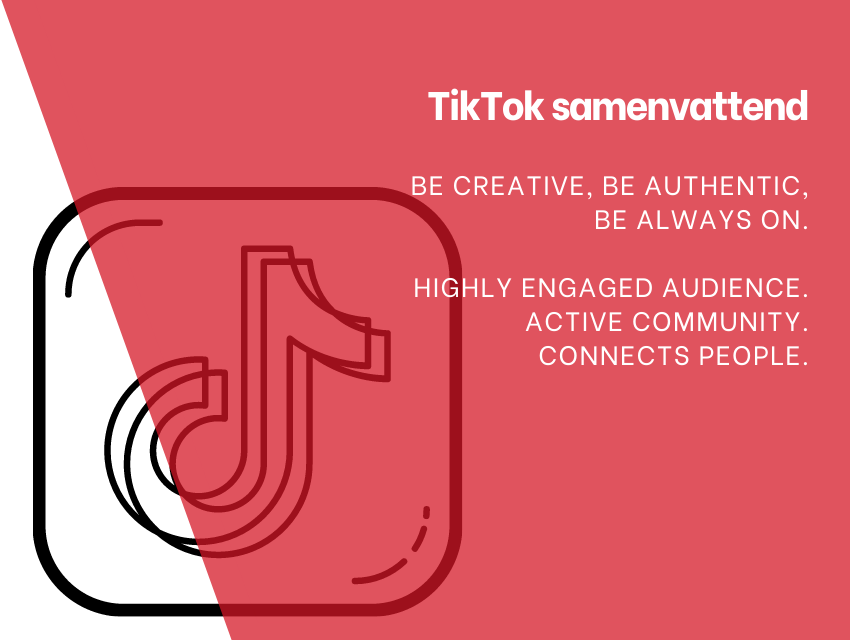 TikTok samenvattend